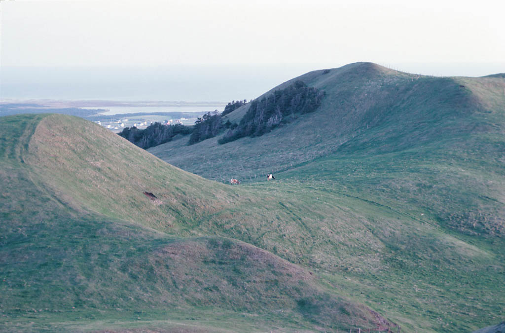 Hill